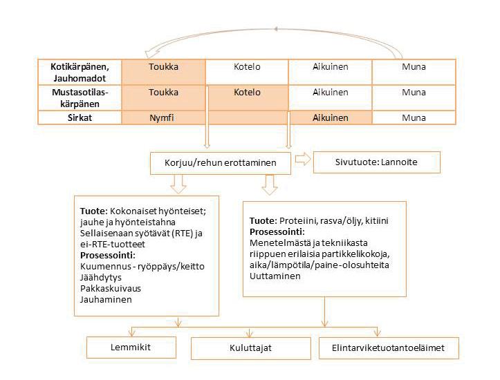 Elintarviketeollisuudesta ja maataloudesta peräisin olevan orgaanisen jätteen käyttö kärpästen rehuna olisi perusteltua kahdesta syystä.