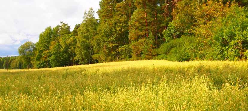 Koo aluetta osevat yleisohjeet Allmänna anvisningar Tavoitteena on raentaa Kylävuorentien asuinalueesta arvostettu ja pidetty asuinalue, joa säilyttää arvonsa myös tulevaisuudessa.