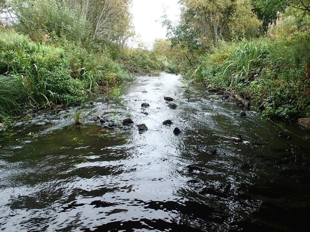 3.9. K7, Hinnerjoentien silta (ETRS-TM35FIN: N 6776227, E 228246) Noin 40 m pitkä koski sijaitsee Hinnerjoentien sillan alla Kuolimaan kylässä. Kosken leveys on kauttaaltaan noin 5 m.