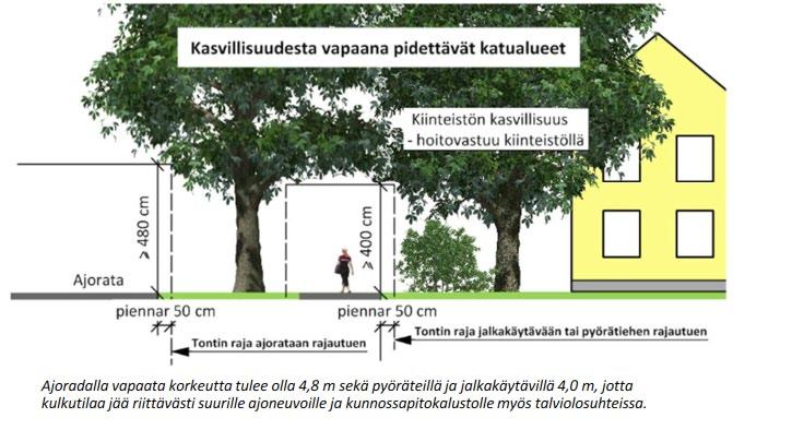tiedote katupuista Tekninen toimisto alkaa kiinnittää huomiota kaavateiden tiealueelle levenneisiin pensaisiin ja puihin sekä tiealueen yläpuolella kasvaviin puiden oksiin.