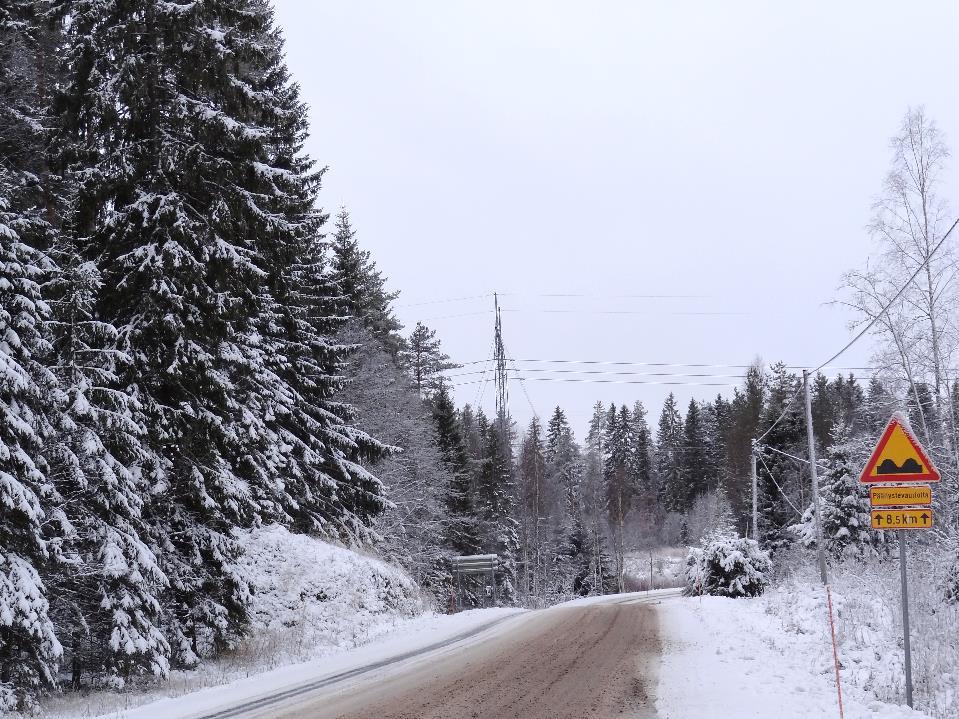 Selvitys maakuntakaavoitusta varten sivu 29 /42 Metsiä on paljon ja valtapuuna on yleisimmin mänty.