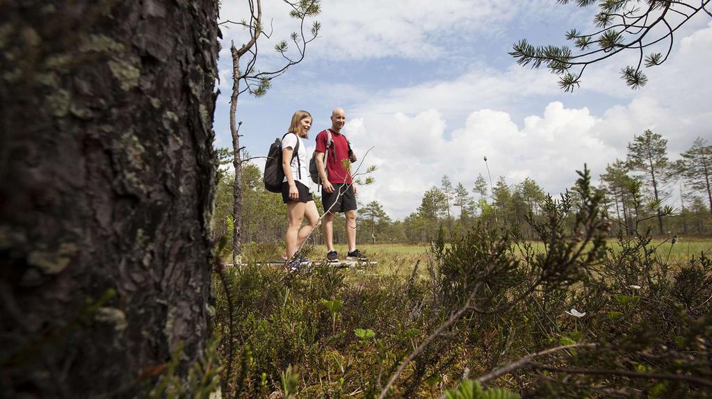 Psykososiaalinen kuormitus miten sitä hallitaan?