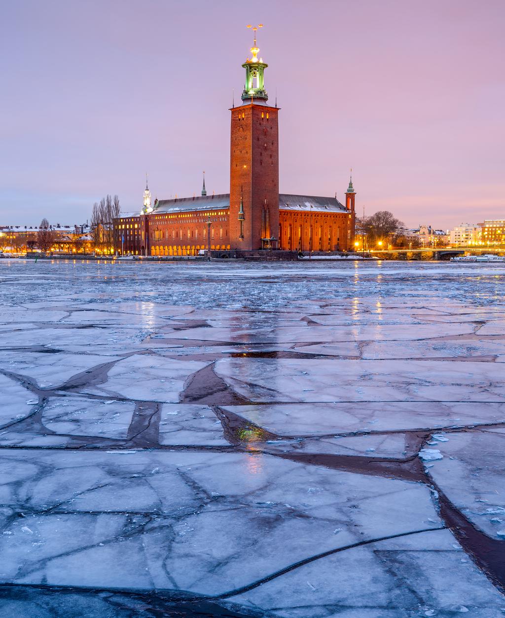 Sijoituksen riskiluokka 1 1 2 3 Pienempi riski 4 5 6 7 Suurempi riski Skandikori Autocall 11 Osakekorisidonnainen joukkovelkakirjalaina Osakekorin Hennes & Mauritz, Orion, Sampo, SEB ja Telia Company