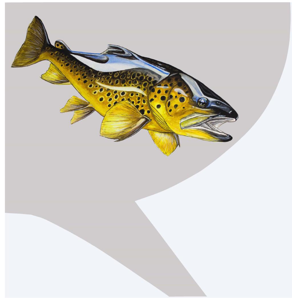 Luonnonvara- ja biotalouden tutkimus 6/2018