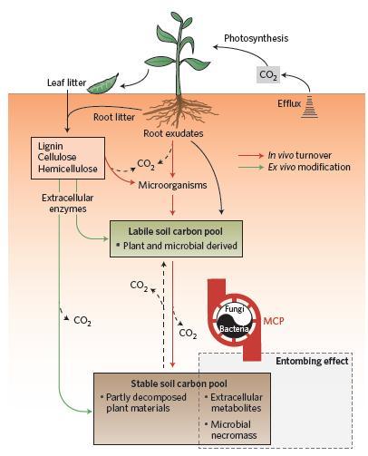 Liang et al. 2017 Nature 2.