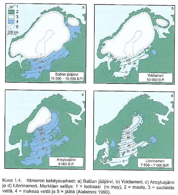 Itämeren kehitysvaiheet, 10