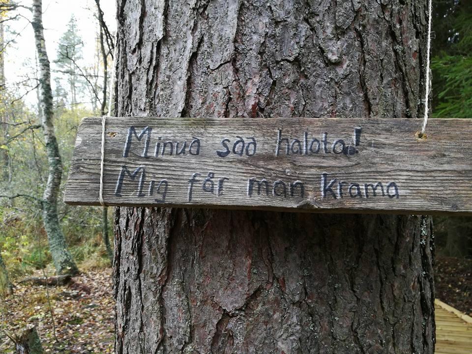 Tutkimus toteutettiin yhteistyössä Nuorisotutkimusseuran kanssa.