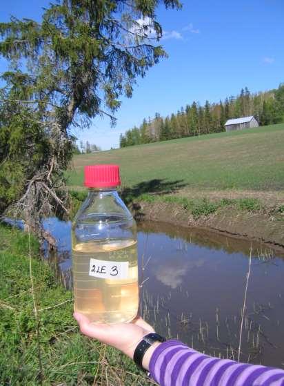 Johdanto Torjunta-aineet ovat kemikaaleja joilla torjutaan eliöitä Kasvinsuojeluaineet Rikkakasvien, kasvitautien ja tuholaisten torjuntaan Kasvunsääteet Muita torjunta-aineita mm.