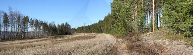 Myös Väinölän löytöpaikka sijaitsee Seppälänniemen peltojen pohjois- eli yläreunalla. DG2201:2 Panoraama. Pikkarainen ja Vesala.