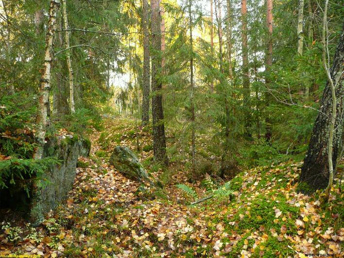 Alueella taisteluhautasysteemi jossa pesäkkeitä, bunkkereita ja yksi suojakaivanto.