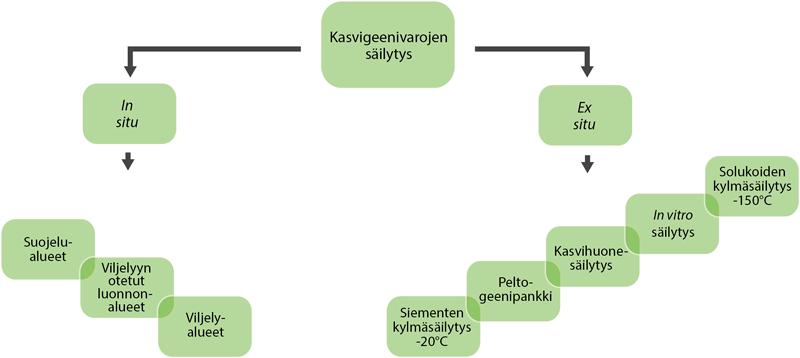 Mitä