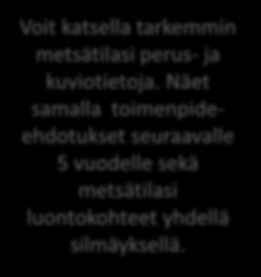 10 Voit katsella tarkemmin metsätilasi