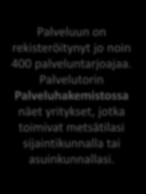 Palvelutorin Palveluhakemistossa näet