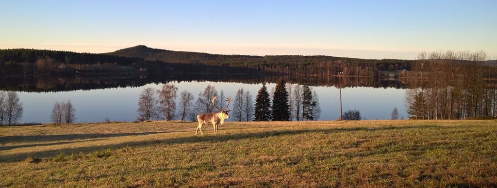 Sisällysluettelo Toimitusjohtajan katsaus sivu 3 Hallitus sivu 4 Organisaatiorakenne sivu 4 Henkilöstö sivu 5 Kunnallisen jätehuollon toimijat sivu 5 Ympäristövaikutukset ja kehitys sivu 6