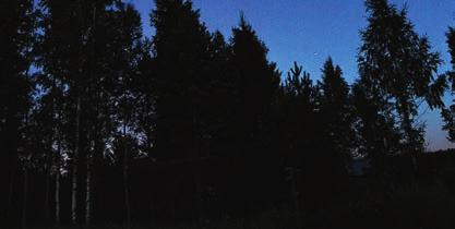 Pohjoisessa tähtitaivasta pääsee ihailemaan kunnolla vasta syyskuun puolella iltojen pimetessä. Perseidien aikaan tähdenlentoja saattaa nähdä parhaimmillaan jopa 60 tunnissa.
