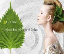 JASMINE BLOSSOM BODY MILK 250 ml Tehokas, vapailta radikaaleilta suojaava vartalovoide.