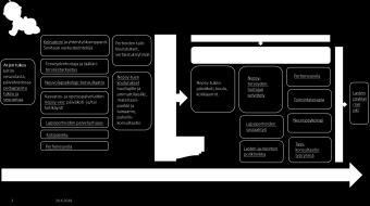 ruutuaika, liikunta, päihteet) Oppimisvaikeudet, kielellisen kehityksen