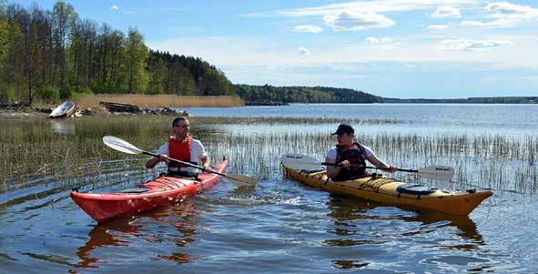 Salon keskustan monipuoliset palvelut, Suomen paras tori ja kuuluisat kesätorstaiset iltatorit sekä monipuolinen arjonta ovat yllättäneet samoin kuin Teijon kansallispuisto, idylliset, kartanot,