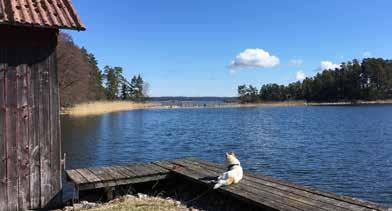 1. Tiiranta p. 02 732 4563 2. Länsitalon Koivula www.