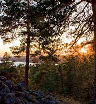 Alueella tavataan uhanalaisia ja luonnon monimuotoisuutta edustavia lajeja kuten saukko, lepakoita, simpukoita, koskikara ja lohikaloja.