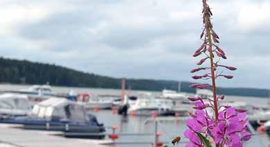 Satapaikkaisen ravintolan, Mathildan Marinan, yhteydessä on pieni päivittäistavaramyymälä, tilaussaunat (6+12 hengelle) ja muutama huone rauhallista, tasokasta majoitusta