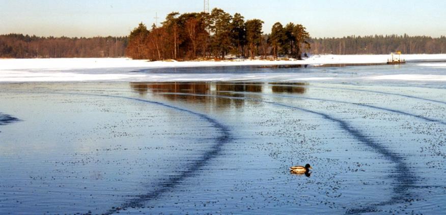 Järven ensimmäinen hoitotoimi oli talvinen ilmastus Aktiivisena talvehtiva vesirutto aiheutti happivajetta jään alla.