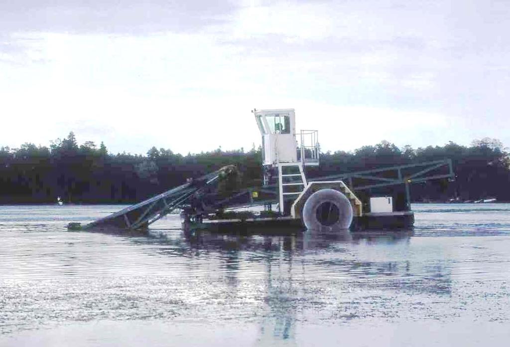 1990-luvun puolivälin jälkeen