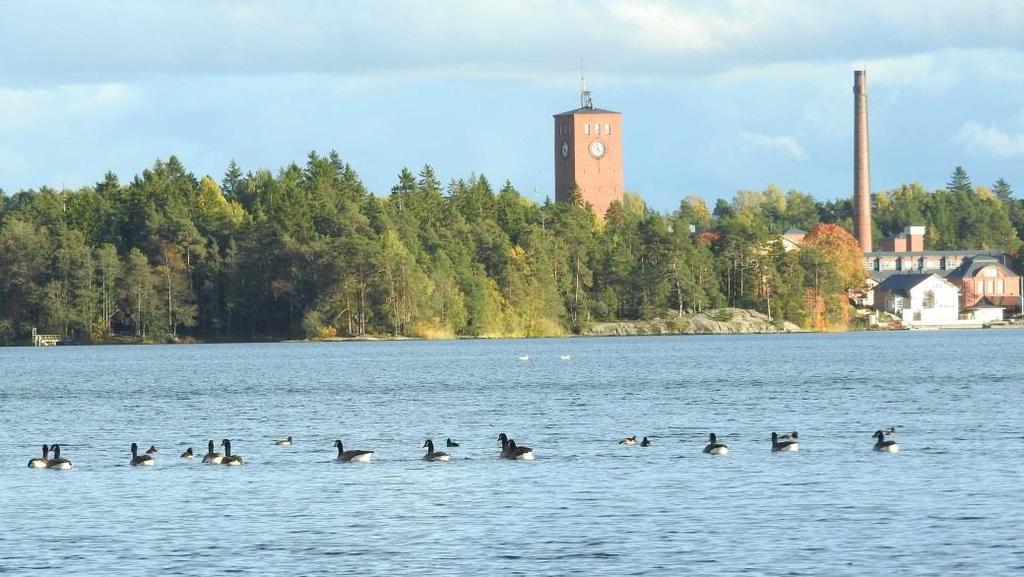 Syksyllä 2017, puoli vuotta