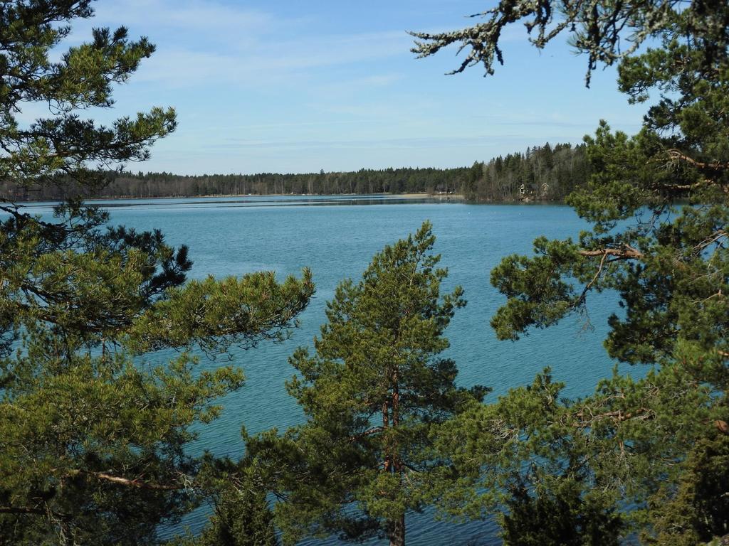 Littoistenjärvi on pieni ja matala: pinta-ala 1.