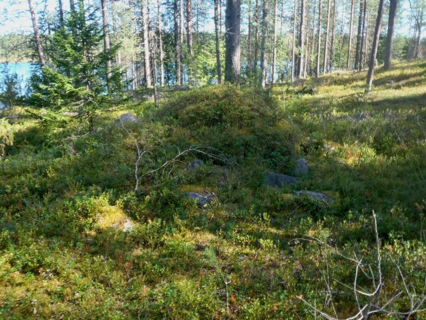 Inventoinnissa tervahautoja tarkastettiin yhteensä 65 kpl ja ne sijaitsivat pääsääntöisesti kuivilla mäntykankailla suon tai vesistön läheisyydessä.