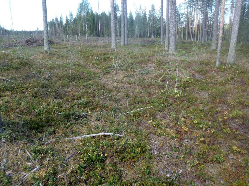 43 Kuvaus: KMO-kulttuuriperintöinventointi