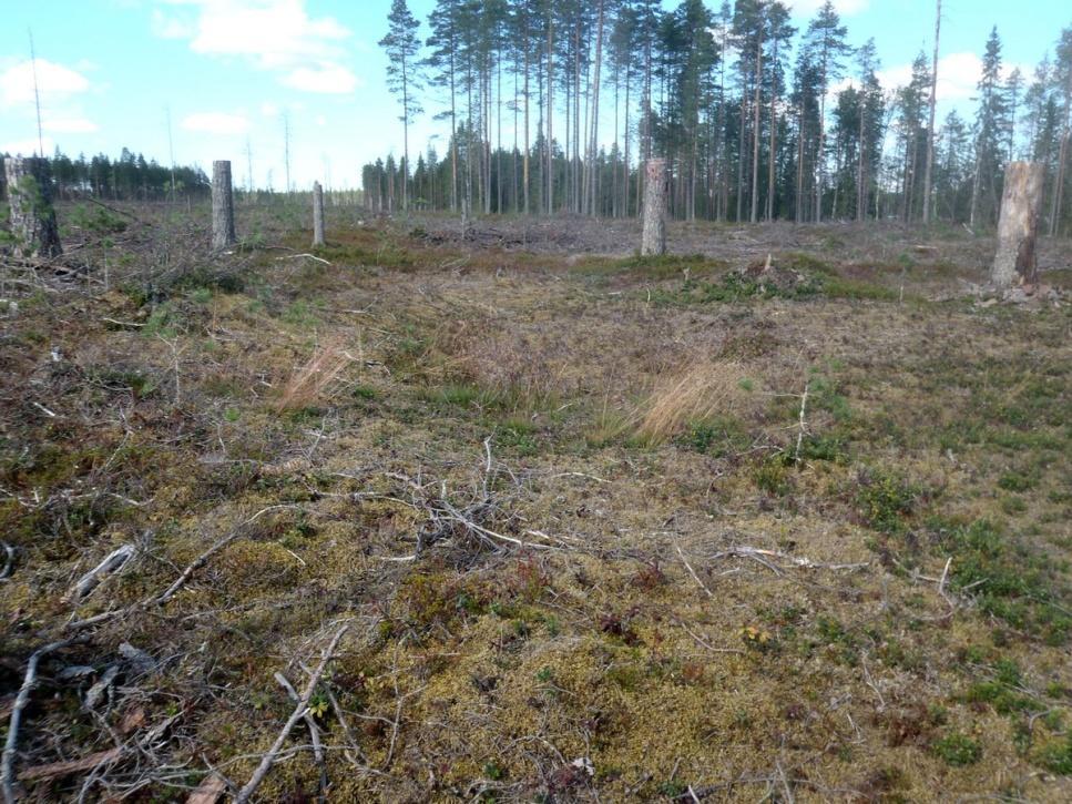 3 Esitys mj-luokka II Kohteen suojelu: 2 Ei käytössä 2