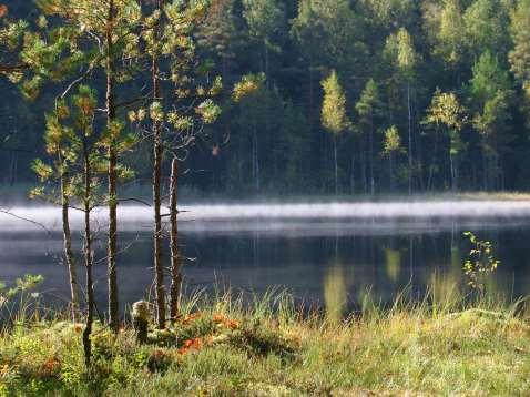 Vesielinympäristöjen parantaminen Vesistöjen kunnostukseen tarvittavan luvituksen helpottaminen Vanhojen lupien avaamisen helpottaminen (erit.