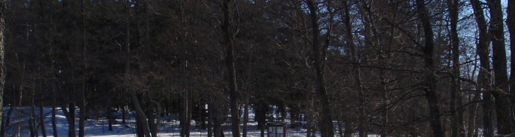 saavutettavuutta ja lisäämällä kaupungin merellisyyttä.
