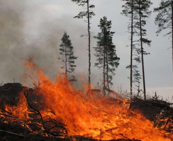 13: Luonnonhoidollisilla poltoilla ja kulotuksilla edistetään metsälajien monimuotoisuutta PEFC-vaatimus: Vähintään 1 kulotus/vuosi/200 000 hehtaaria Poikkeuksellisen epäsuotuisat sääolot otetaan