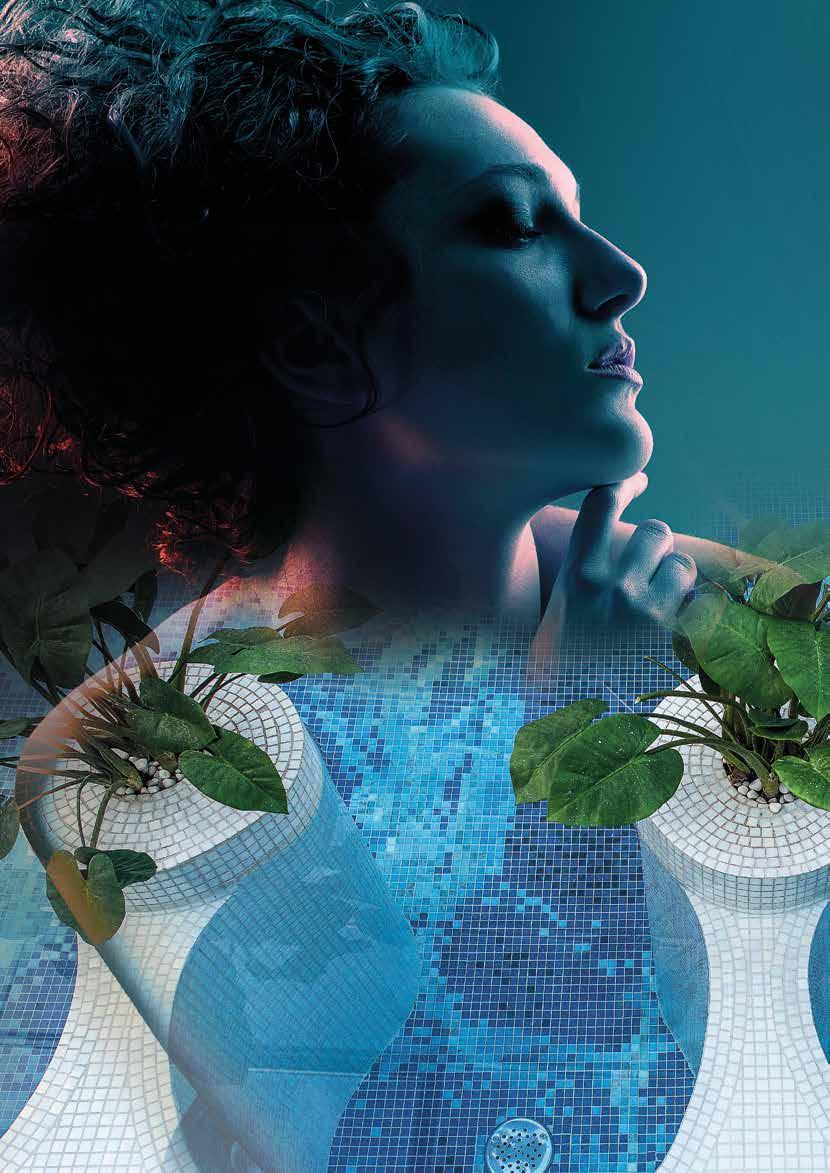 HARVIA SAUNA & SPA FI RENTOUTTAVIN TAPA