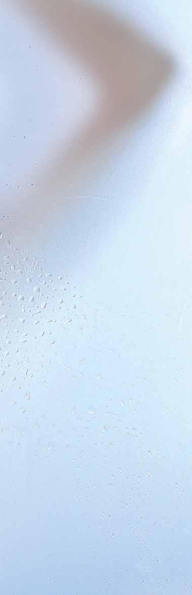 HARVIA-HÖYRYNKEHITTIMET Ylellisen hemmottelevan höyryn salaisuus on höyrynkehittimessä.