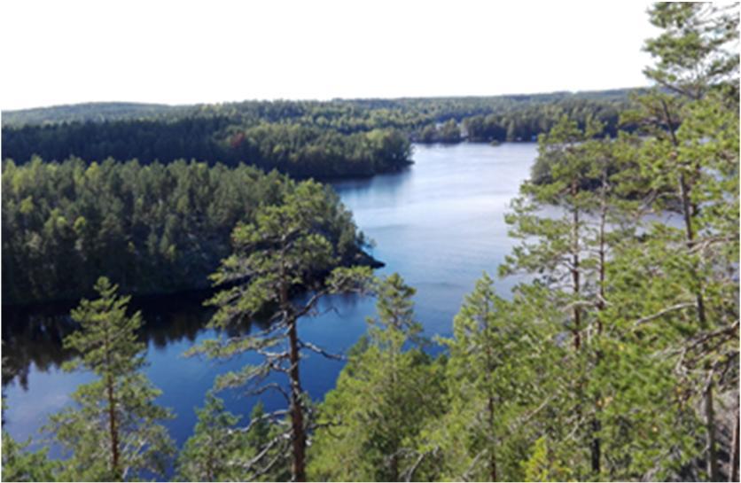 YHTEENVETOA TULOKSISTA - MITÄ JA MITEN VIESTIÄ? Matkailijalle kauniit maisemat ja hoidettu miljöö tuovat vahvoja positiivisia tunteita (suomalaisille ja venäläisille).