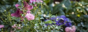 älykäs koti R KSA 2019