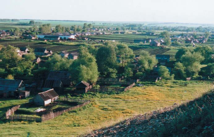 yliopiston