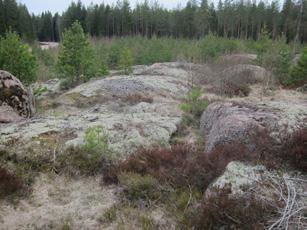 GEOTECHNICAL REPORT 10 durability properties are isotropic, i.e. fairly equal in all directions of the stone.