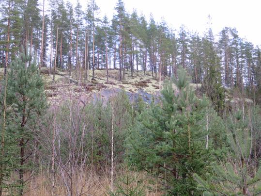 The Finnish Natural Stone Association Figure 11. Sound wiborgite in a prospect in the eastern part of the Wiborg batholith. Photo: Olavi Selonen. Kuva 11.