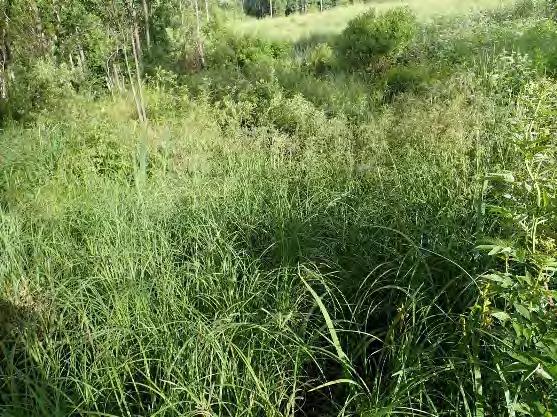 Pelto on savikkoa ja metsäosuus hiekkamoreenia. Kosteikko perustettiin luontaiselle luhta-alueelle, jonne kohdistuu peltoalueelta kiintoaineskuormitusta.