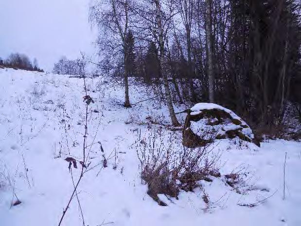 Ruoppausmassa sijoitettiin altaan lounaispuolelle kaivettuun altaaseen, josta se ei pääse valumaan takaisin jokeen. Kuva 8. Haimoon myllypadon allas oli täyttynyt kiintoaineesta.