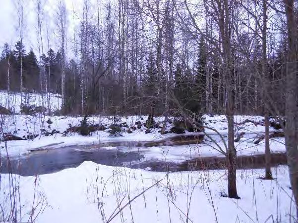 Kraatarinkoski Kiintoainesta kertyy erityisesti kohtiin, joissa veden virtaus hiljenee.