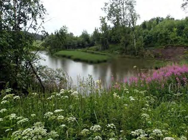 Ridanoja Kaksiosainen Ridanojan allas, valmistui elokuussa 2016 Karkkilaan Ridanojan varteen kesämökin pihapiiriin.