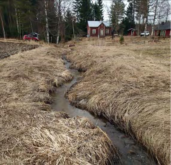 Ridanojan kaksi kosteikkoallasta. Ratinoja Hiidenveden kunnostus -hankkeessa kosteikon valmistumisen jälkeen vastuu hoito- ja tyhjennystoimenpiteistä jää maanomistajalle.