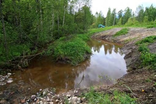 jotka sisälsivät erodoituneen puronuoman penkkojen loivennuksia, pohjan sorastusta ja isojen kivien asettamista uomaan. Kuva 14. Kunnostettu kosteikkoallas Karkkilassa.