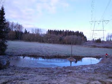 Koskenrannan kosteikkokohde kartoitettiin muiden Ridanojan kosteikkojen yhteydessä. Sitä ei kuitenkaan ehditty toteuttaa hankkeen aikana.