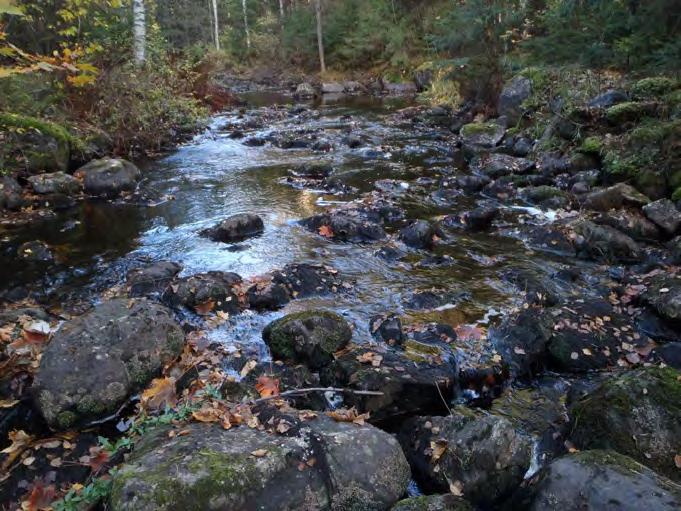 Rautajoki Rautajoki sijaitsee Lopen kunnassa hyvin metsäisellä alueella. Rautajoki on laajemmassa Vanjoki-Saavajoki- Hunsalanjoki-Rautajoki nimetyssä vesimuodostumassa ylimpänä latvajokena.
